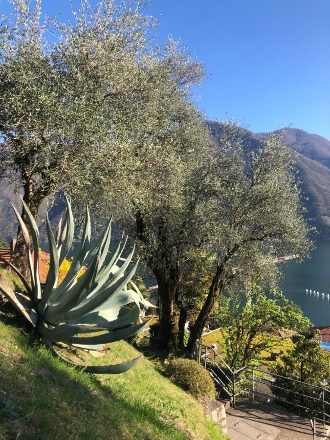 Lake Feelings Lugano Luaran gambar